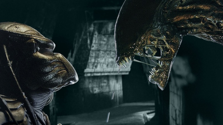 A Yautja staring up at a Xenomorph in Alien vs. Predator